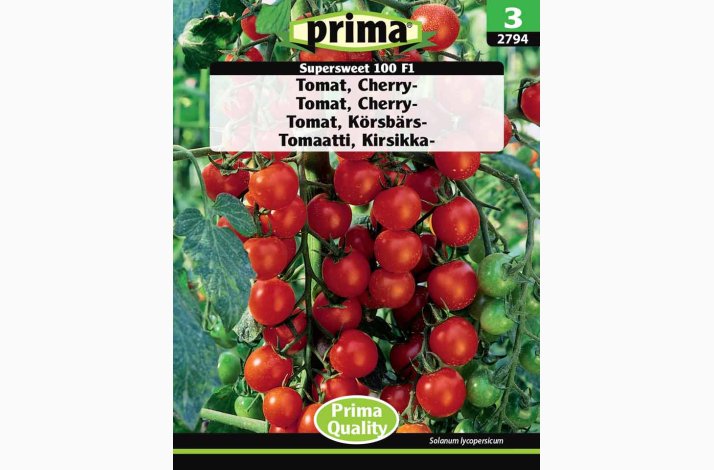 Tomat, Cherry-, Supersweet 100 F1 (P) (min. 15 fr)