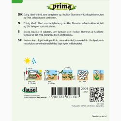 Asters, Sommer-, blanding, Prinzess (P)