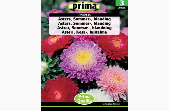Asters, Sommer-, blanding, Prinzess (P)