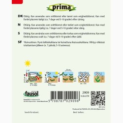 Evighedsblomst, K�mpe-, bl., Koloss (P) (min. 150 fr�)