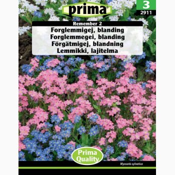 Forglemmigej, blanding, Remember 2 (P) (min. 150 fr)