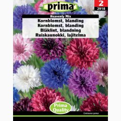 Kornblomst, blanding, Heavenly Mix (P) ( min  100 fr)