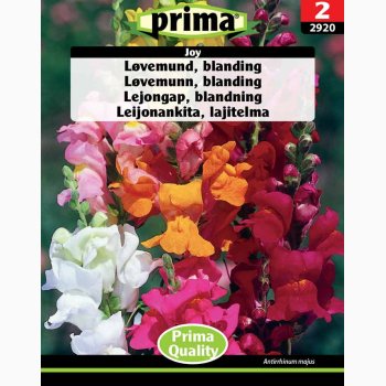 Lvemund, blanding, Joy (P) (min. 200 fr)