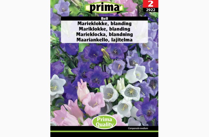Marieklokke, blanding, Bell (P) - (Min. 150 fr)