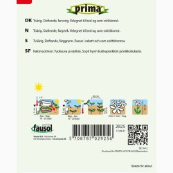 Studenternellike � Dianthus barbatus �Grandma� � Fr� (250 stk.)