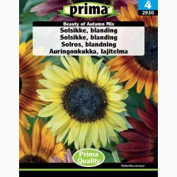 Beauty of Autumn Mix - Solsikke, blanding (P)