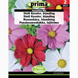 Cosmos - Stolt Kavaler, Sensation Mix (P) ( fr min 70 fr)