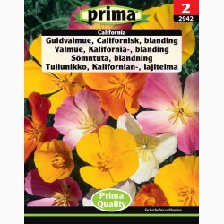 Blomsterfr, Guldvalmue, Californisk, blanding (P) (min. 100 fr)