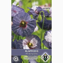Papaver rhoeas Amazing Grey - Kornvalmue (ca. 300 fr)