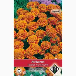 Tagetes patula nana Honeycomb - Fljlsblomst (ca. 50 fr)