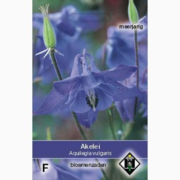 Aquilegia vulgaris - Akeleje (ca. 100 fr)