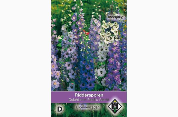 Delphinium cultorum pacific gigantsV- Ridderspore (ca.100 fr)
