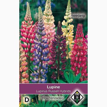 Staudelupin � Lupinus polyphyllus �Russell Hybrids� � Fr� (ca. 50 stk.)