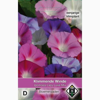Ipomoea purpurea lazy luxe miks - Pragtsnerle (ca. 50 fr)