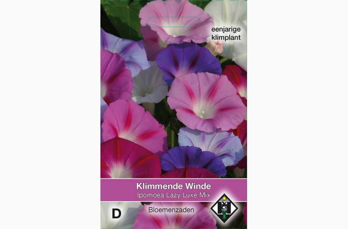 Ipomoea purpurea lazy luxe miks - Pragtsnerle (ca. 50 fr)