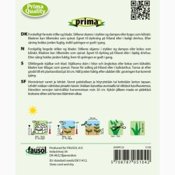 Bladbede, Bright Lights F1 (P) (min. 40 fr)