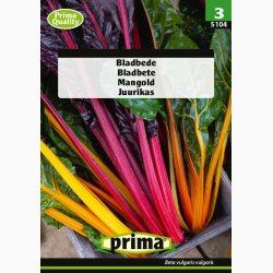 Bladbede, Bright Lights F1 (P) (min. 40 fr)