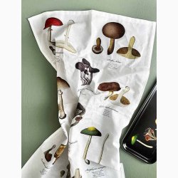 VISKESTYKKE (�kologisk bomuld) - SVAMPE