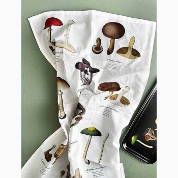 VISKESTYKKE (kologisk bomuld) - SVAMPE