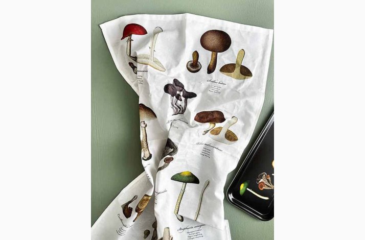 VISKESTYKKE (�kologisk bomuld) - SVAMPE