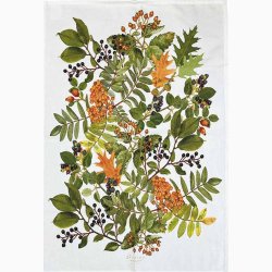 VISKESTYKKE (�kologisk bomuld) - H�ST