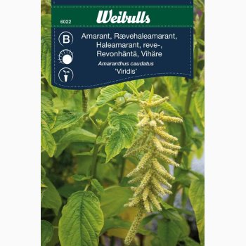 Rvehaleamarant Viridis (min 300 fr)