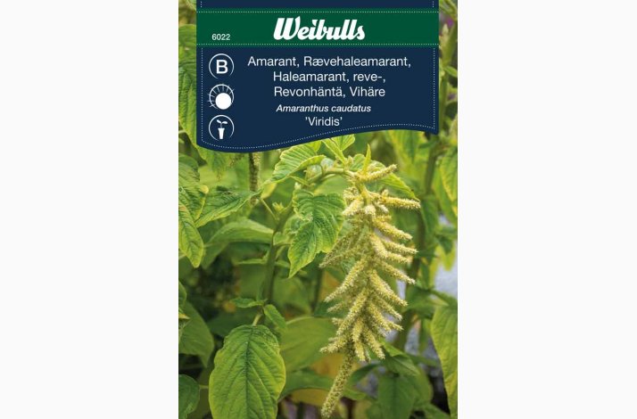 Rvehaleamarant Viridis (min 300 fr)