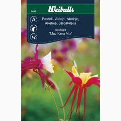 AKELEJE MAC KANNA MIX