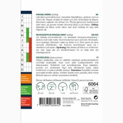 Morgenfrue Pygmy Buff - Morgenfrue (min. 65 fr)