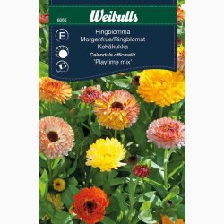 Morgenfrue Playtime mix ( min.10 fr)