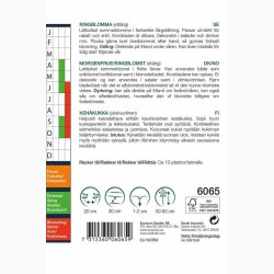 Morgenfrue Playtime mix ( min.10 fr)