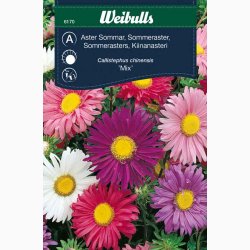 Asters miks, enkelte