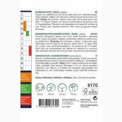 Asters miks, enkelte