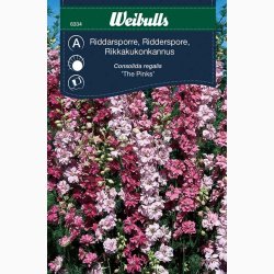 Blomsterfr Ridderspore rosa, sommer (min. 50 fr)