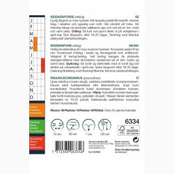 Blomsterfr Ridderspore rosa, sommer (min. 50 fr)