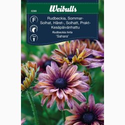 Solhat Hret Sahara  Halv- til fuldt dobbelte blomster i rosa, gul, rd og kobber (min. 20 fr)