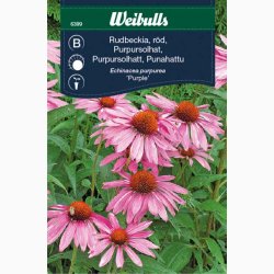 Solhat, purpursolhat (min. 40 fr)