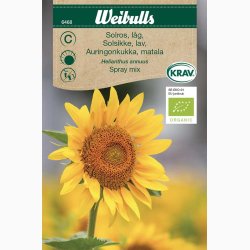 kologiske fr Solsikke (lav) Spray mix, krav