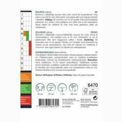 Solsikke, Helianthus annuus hj Chocolat (min. 40 fr)