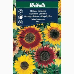 Solsikke pollenfri mix