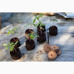 Trvefri kompostbriketter 50 stk