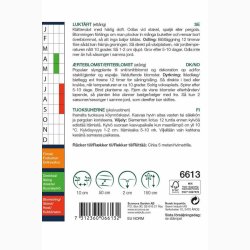 Fr, Lathyrus odoratus mix - rteblomst mix