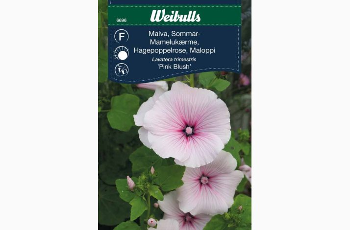 Mamelukrme Pink Blush (min. 80 fr)