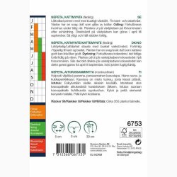 Nepeta kant mussinii Faassenii - Katmynte (min. 350 fr)