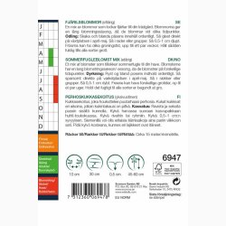 Sommerfugleblomst mix