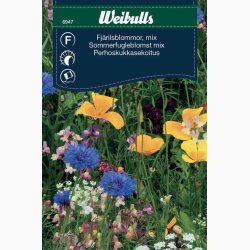 Sommerfugleblomst mix