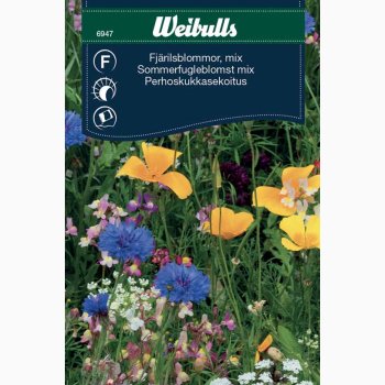 Sommerfugleblomst mix