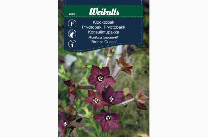 Prydtobak Bronze Queen (min. 25 fr)