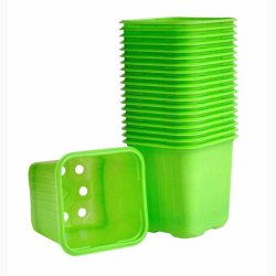 Plastpotter 8 cm limegrnne med hul for drn, 20 stk.