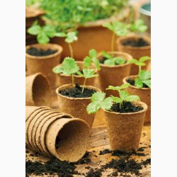 Trfiber potter 24 stk. 6 cm i diameter